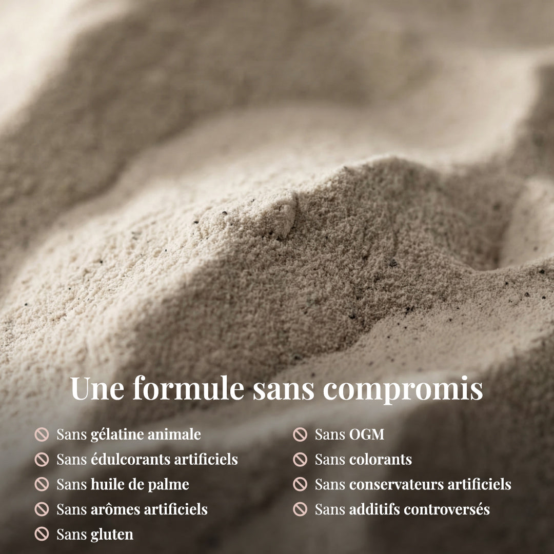 PLANT POWER, pflanzliche Proteine