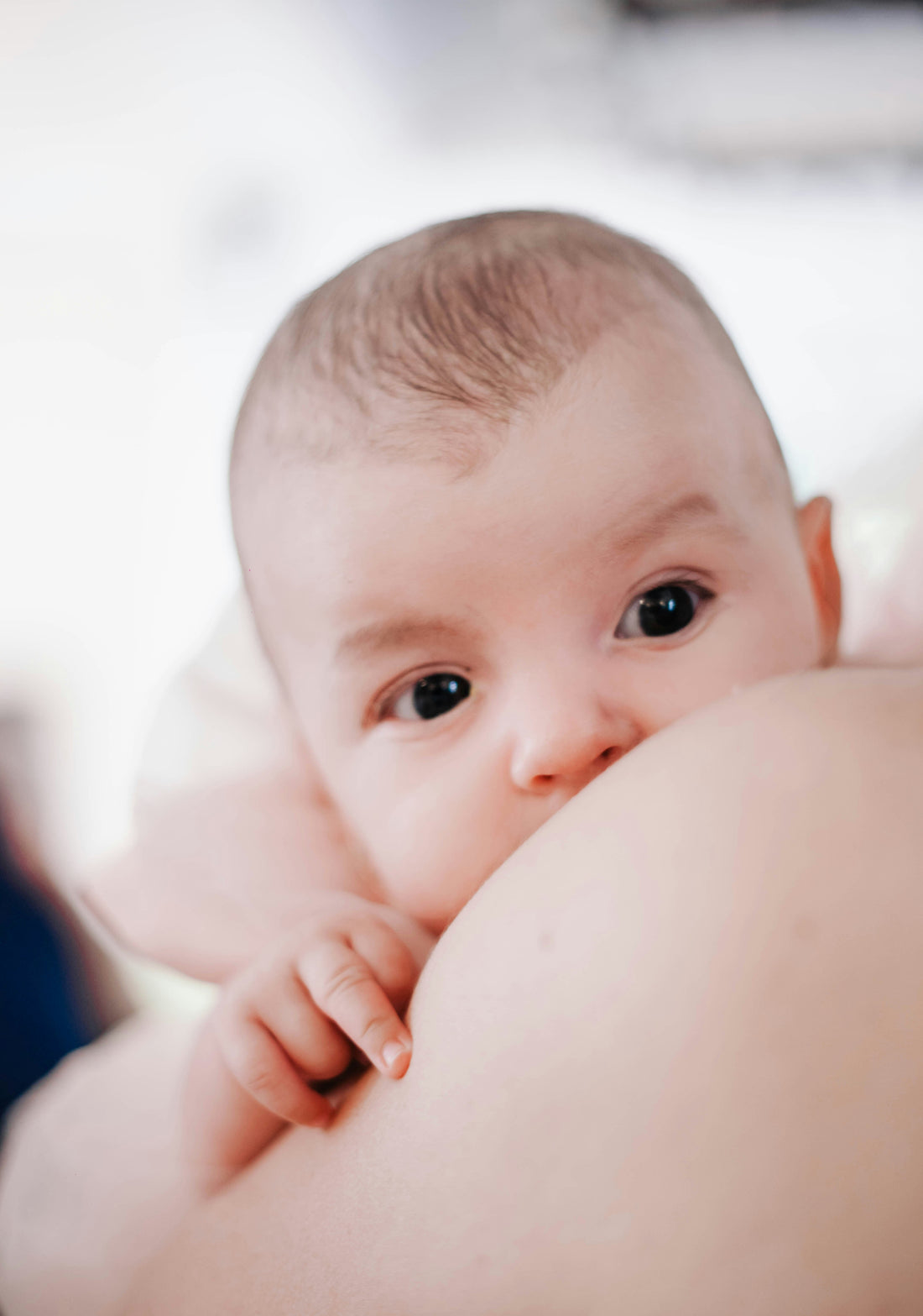 Quels aliments boostent la lactation ? Ce qui aide vraiment (et ce qui relève du mythe)