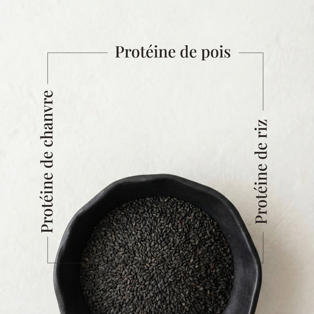 PLANT POWER, protéines végétales