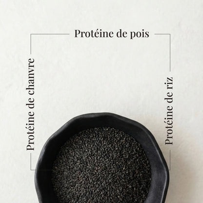 PLANT POWER, protéines végétales